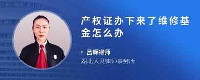 产权证办下来了维修基金怎么办