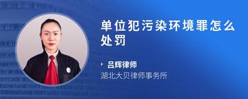单位犯污染环境罪怎么处罚