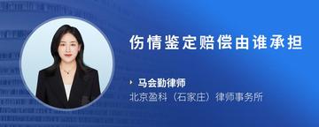 伤情鉴定赔偿由谁承担