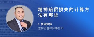 精神赔偿损失的计算方法有哪些