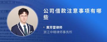 公司借款注意事项有哪些