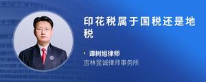 印花税属于国税还是地税