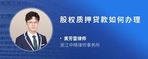 股权质押贷款如何办理