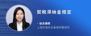 契税滞纳金规定