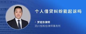 个人借贷纠纷能起诉吗