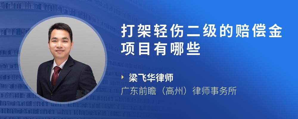打架轻伤二级的赔偿金项目有哪些