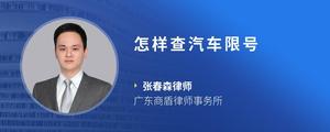 怎样查汽车限号