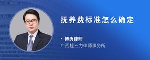 抚养费标准怎么确定