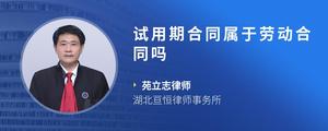 试用期合同属于劳动合同吗