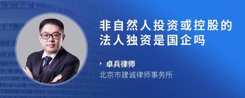 非自然人投资或控股的法人独资是国企吗