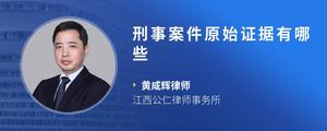 刑事案件原始证据有哪些
