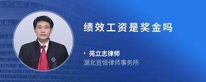 绩效工资是奖金吗