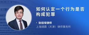 如何认定一个行为是否构成犯罪