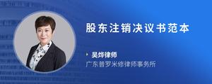 股东注销决议书范本