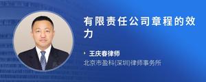 有限责任公司章程的效力