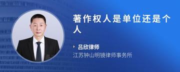 著作权人是单位还是个人