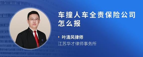 车撞人车全责保险公司怎么报