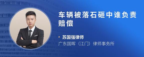 车辆被落石砸中谁负责赔偿