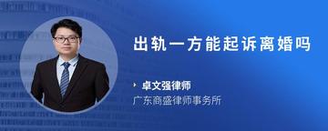 出轨一方能起诉离婚吗