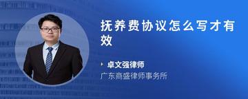 抚养费协议怎么写才有效