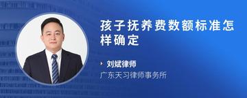 孩子抚养费数额标准怎样确定