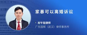家暴可以离婚诉讼