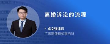 离婚诉讼的流程