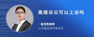 离婚诉讼可以上诉吗