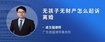 无孩子无财产怎么起诉离婚