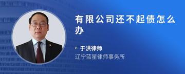 有限公司还不起债怎么办
