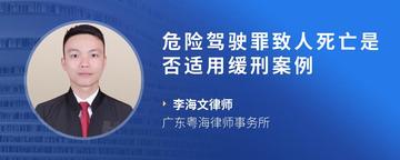 危险驾驶罪致人死亡是否适用缓刑案例