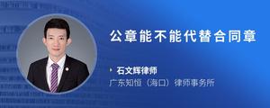 公章能不能代替合同章