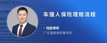 车撞人保险理赔流程