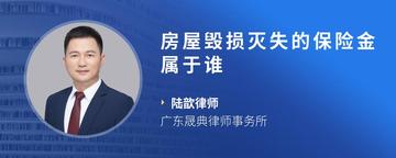 房屋毁损灭失的保险金属于谁