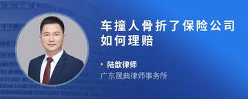 车撞人骨折了保险公司如何理赔