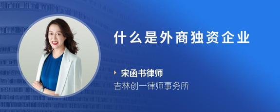 什么是外商独资企业