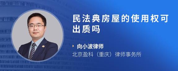 民法典房屋的使用权可出质吗