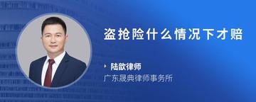 盗抢险什么情况下才赔